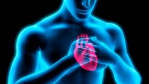 Cardiologo en Santander